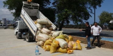Karadeniz fındık yolu