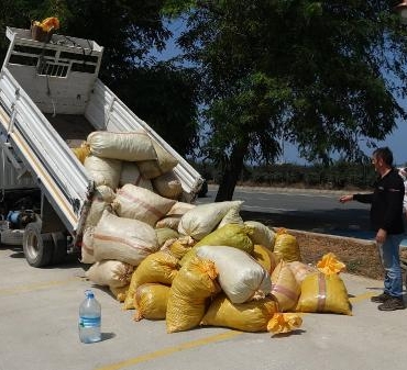 Karadeniz fındık yolu