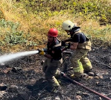 Kartal'da otluk alanda yangın