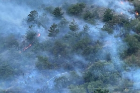 Kastamonuda orman yangını