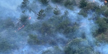 Kastamonuda orman yangını