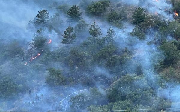 Kastamonuda orman yangını