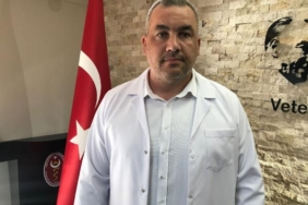 Kedisinin ölümünden sorumlu tuttuğu veterineri darbetti 2