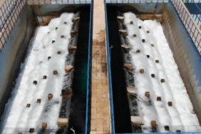 Kentte hortumla yıkama yasaklandı tüketim artışı sürerse sıra halı yıkama fabrikalarında