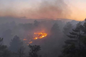 Kırşehir'de ağaçlık alanda çıkan yangın, askeri bölgeye sıçradı 23 Kırşehirde ağaçlık alanda çıkan yangın askeri bölgeye sıçradı