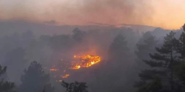 Kırşehir'de ağaçlık alanda çıkan yangın, askeri bölgeye sıçradı 25 Kırşehirde ağaçlık alanda çıkan yangın askeri bölgeye sıçradı