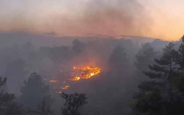 Kırşehirde ağaçlık alanda çıkan yangın askeri bölgeye sıçradı