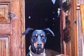 Korhan Berzeg'i aramalarda 2 ay geride kaldı; 1 milyon lira ödüle rağmen izine ulaşılamadı 31 Korhan Berzegi aramalarda 2 ay geride kaldı 1 milyon lira ödüle rağmen izine ulaşılamadı