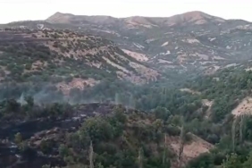 Malatyada dağlık alandaki yangın 7 saatte kontrol altına alındı