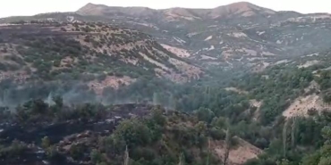 Malatya'da dağlık alandaki yangın 7 saatte kontrol altına alındı 38 Malatyada dağlık alandaki yangın 7 saatte kontrol altına alındı