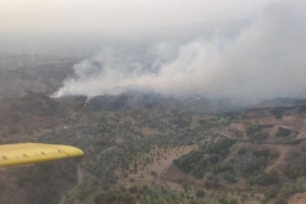 Manisada maki yangını