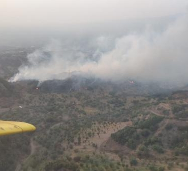 Manisada maki yangını