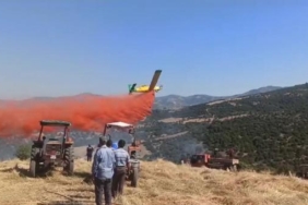 Manisada orman yangını büyümeden söndürüldü