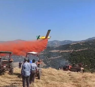 Manisada orman yangını büyümeden söndürüldü