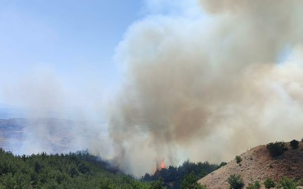 Manisada orman yangını