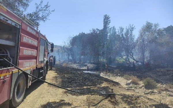 Mardin'de 25 hektar alanın zarar gördüğü yangında 1 kişi gözaltında 6 Mardinde 25 hektar alanın zarar gördüğü yangında 1 kişi gözaltında