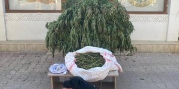 Mardin’de evinin bahçesinde uyuşturucu eken şüpheli gözaltına alındı 12 Mardinde evinin bahçesinde uyuşturucu eken şüpheli gözaltına alındı