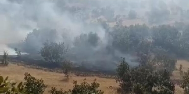 Mardin'de orman yangını, 2 saatte söndürüldü 29 Mardinde orman yangını 2 saatte söndürüldü