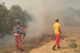 Mardinde örtü yangını ormana sıçradı 2