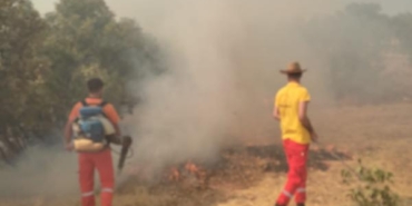 Mardin'de örtü yangını, ormana sıçradı (2) 25 Mardinde örtü yangını ormana sıçradı 2