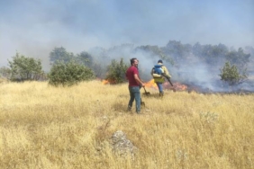 Mardindeki orman yangınında 10 hektar alan zarar gördü