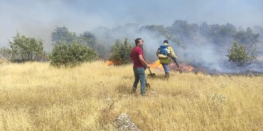 Mardin’deki orman yangınında 10 hektar alan zarar gördü 7 Mardindeki orman yangınında 10 hektar alan zarar gördü