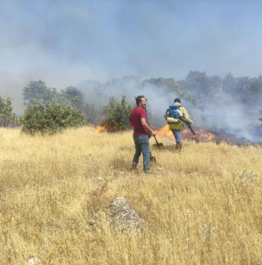 Mardindeki orman yangınında 10 hektar alan zarar gördü