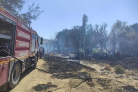 Mardindeki yangında 25 hektar alan zarar gördü