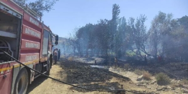 Mardin’deki yangında 25 hektar alan zarar gördü 37 Mardindeki yangında 25 hektar alan zarar gördü