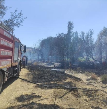Mardin’deki yangında 25 hektar alan zarar gördü 7 Mardindeki yangında 25 hektar alan zarar gördü