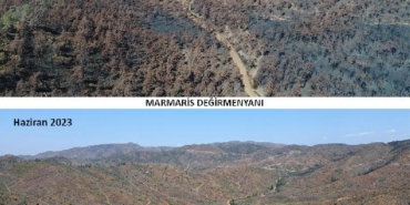 Marmariste yanan ormanlar 1 yılda yeşile döndü