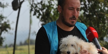 Merdiven altı üretilip sokağa terk edilen cins köpekler yeni yuvalarını bekliyor