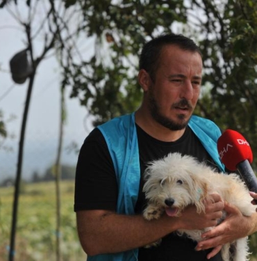 Merdiven altı üretilip sokağa terk edilen cins köpekler yeni yuvalarını bekliyor