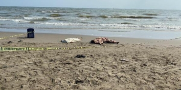 Mersin'de denizde boğulan 2 kız kardeş, Hatay'da toprağa verildi 18 Mersinde denizde boğulan 2 kız kardeş Hatayda toprağa verildi