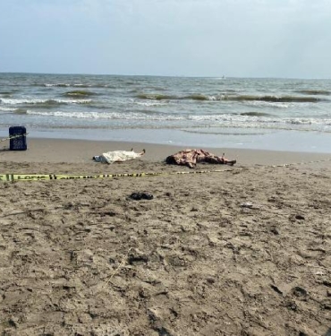 Mersinde denizde boğulan 2 kız kardeş Hatayda toprağa verildi