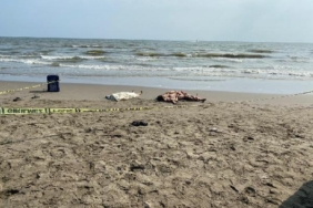 Mersin'de denize giren 2 kız kardeş boğuldu, ablaları ile eşi kurtarıldı 32 Mersinde denize giren 2 kız kardeş boğuldu ablaları ile eşi kurtarıldı