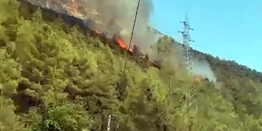 Mersinde orman yangını