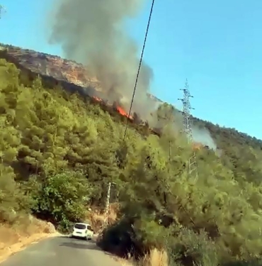 Mersinde orman yangını