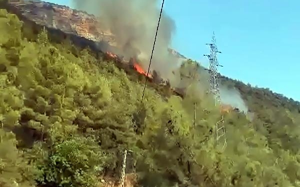 Mersin'deki orman yangınında 2,5 hektar alan zarar gördü, çıkış sebebi araştırılıyor 6 Mersindeki orman yangınında 25 hektar alan zarar gördü çıkış sebebi araştırılıyor