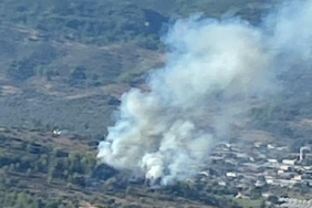 Milasta makilik yangını büyümeden söndürüldü