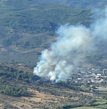 Milasta makilik yangını büyümeden söndürüldü
