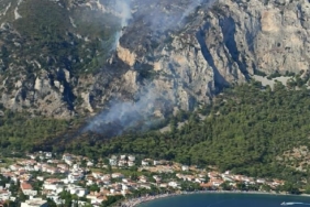 Milasta orman yangını 2