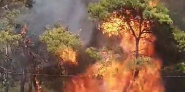 Milasta orman yangını 3