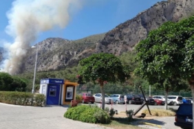 Milas'ta orman yangını 19 Milasta orman yangını