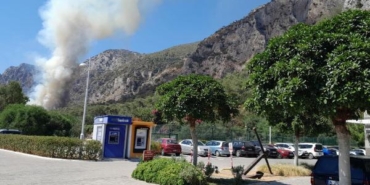 Milasta orman yangını