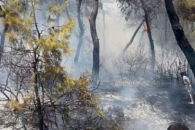 Milas'ta orman yangını/Ek fotoğraflar 12 Milasta orman yangınıEk fotoğraflar