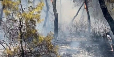 Milasta orman yangınıEk fotoğraflar