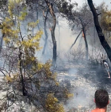 Milasta orman yangınıEk fotoğraflar