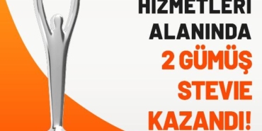 Misliye Stevieden iki prestijli ödül
