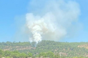 Muğla'da 1 hektar orman yandı 8 Muğla'da 1 hektar orman yandı